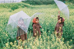 Bộ ba bạn thân Mầm - Mũm - Mon xuất hiện siêu yêu trong bộ ảnh chụp trên cánh đồng hoa cải