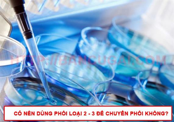 Có nên tiến hành chuyển phôi loại 2, loại 3? [BÁC SỸ TƯ VẤN]