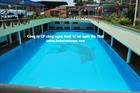 Thiết kế bể bơi Bến Thiên Đường - Hồ Núi Cốc - Thái Nguyên