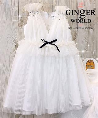 Đầm Dự Tiệc Cho Bé HQ746 GINgER WORLD