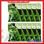 Combo 10 miếng mặt nạ trà xanh 3W Clinic fresh green tea mask sheet