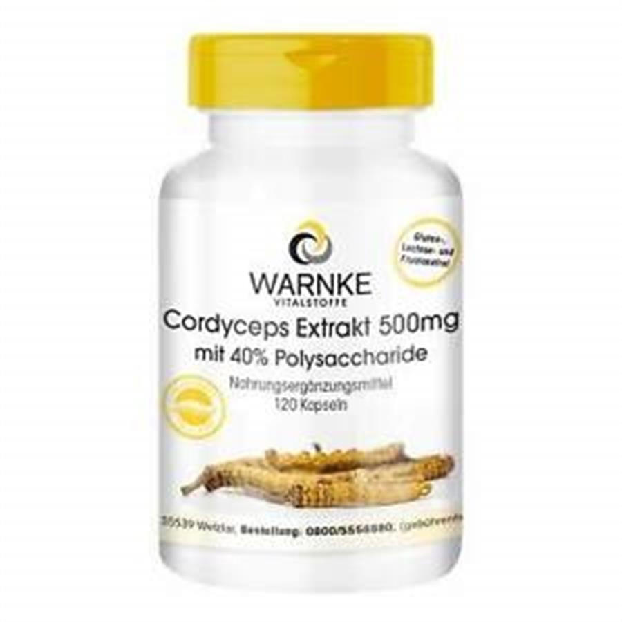 Viên uống đông trùng hạ thảo Warnke Cordyceps Extrakt 500 mg