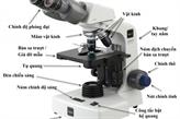 Cấu tạo và cách sử dụng kính hiển vi quang học