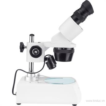 Hướng dẫn cố định mẫu vật để soi kính hiển vi